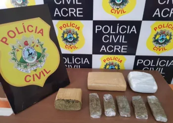 Polícia Civil apreende 2,843 kg de maconha em Cruzeiro do Sul