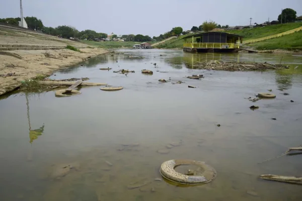 Dia da Amazônia traz reflexão sobre ações que poderiam reduzir impactos negativos