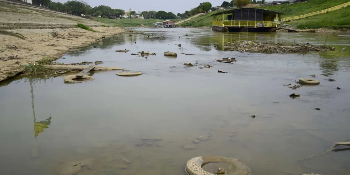 Dia da Amazônia traz reflexão sobre ações que poderiam reduzir impactos negativos