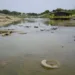 Dia da Amazônia traz reflexão sobre ações que poderiam reduzir impactos negativos