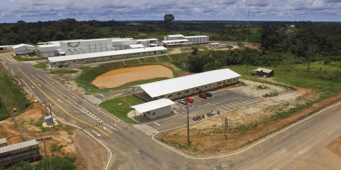 Governo Tião Viana fortalece pequenos produtores de suínos com doação de ações da Dom Porquito
