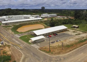 Governo Tião Viana fortalece pequenos produtores de suínos com doação de ações da Dom Porquito
