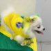 Bichinhos de estimação também entram na onda da Copa do Mundo e na torcida pelo Brasil