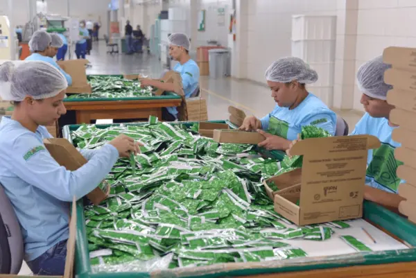 Natex deve entregar mais de 5,5 milhões de preservativos ao Ministério da Saúde