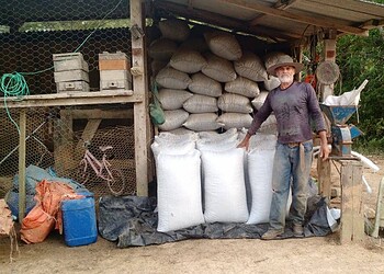 Manoel Urbano se consolida como terceiro maior produtor de café do Acre