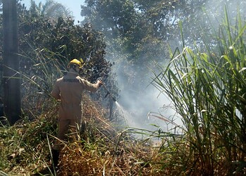 Capital registra aumento de 300% nos focos de queimada, aponta Bombeiros