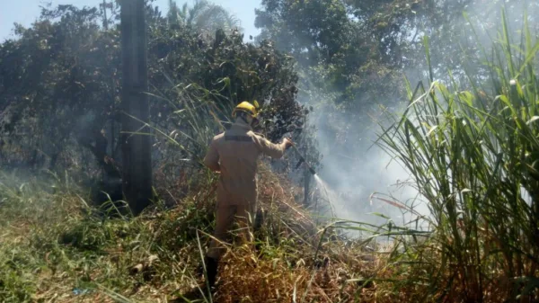 Capital registra aumento de 300% nos focos de queimada, aponta Bombeiros