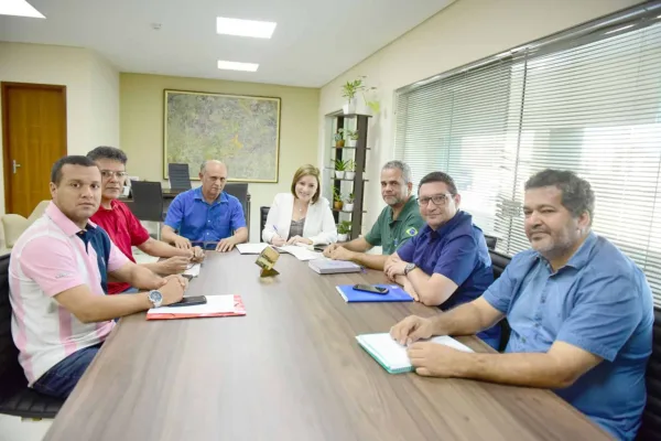 Prefeitura recebe doação de 1.000 metros cúbicos de madeira apreendida do Ibama