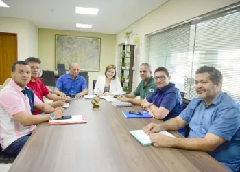 Prefeitura recebe doação de 1.000 metros cúbicos de madeira apreendida do Ibama