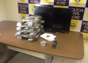 Polícia Civil apreende 12 quilos de maconha em Rio Branco