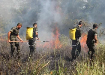 Força-tarefa de combate às queimadas e desmatamento define ações estratégicas
