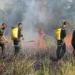 Força-tarefa de combate às queimadas e desmatamento define ações estratégicas