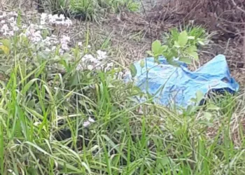 Polícia apreende cinco jovens suspeitos de matar homem a pauladas: 'brutalidade e violência’, diz delegado