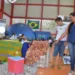 Mostra Viver Ciência no Juruá tem mochila renovável, aspirador ecológico e labirinto elétrico