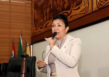 A pedido da deputada Eliane Sinhasique, Aleac realiza sessão solene em homenagem aos fisioterapeutas