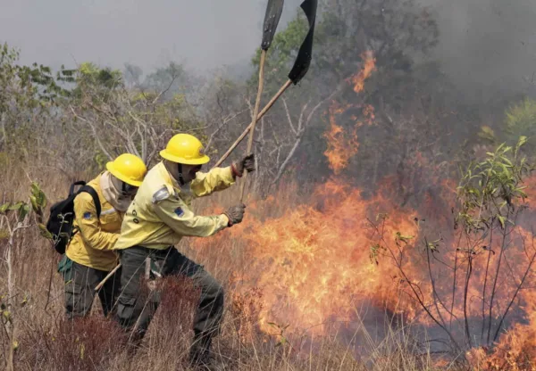 Queimadas em Rio Branco desafiam os homens do Corpo de Bombeiros