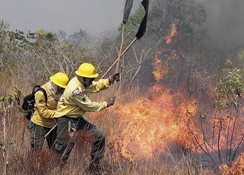 Queimadas em Rio Branco desafiam os homens do Corpo de Bombeiros