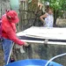 Casos suspeitos de dengue em Rio Branco crescem mais de 50% entre 2017 e 2018