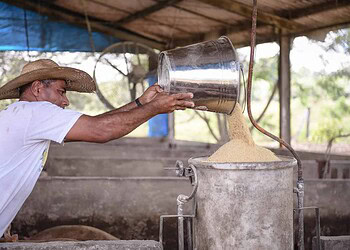 Estudo do Itaú Unibanco aponta crescimento na economia do Acre