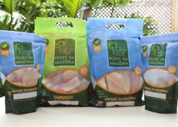 Com certificação internacional para venda nos Estados Unidos, Peixes da Amazônia aguarda o primeiro pedido