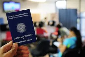 Confira onde pode estar sua vaga no mercado de trabalho