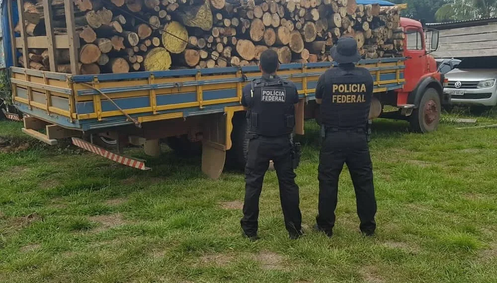 Polícia Federal apreende quase 50 metros cúbicos de madeira ilegal no interior do Acre — Foto Divulgação Polícia Federal