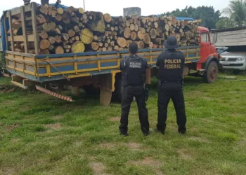 Polícia Federal apreende quase 50 metros cúbicos de madeira ilegal no interior do Acre — Foto Divulgação Polícia Federal