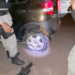 1.1 - A ação dos bandidos consiste em obstruir a pista de rolamento, utilizando paus e galhos de árvores e quando os motoristas reduzem a velocidade o grupo criminoso aborda suas vítimas