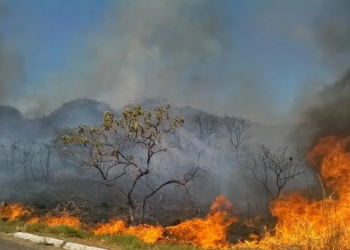 Registrando altas temperaturas, focos de queimadas no Acre aumentam mais de 1.000% em uma semana