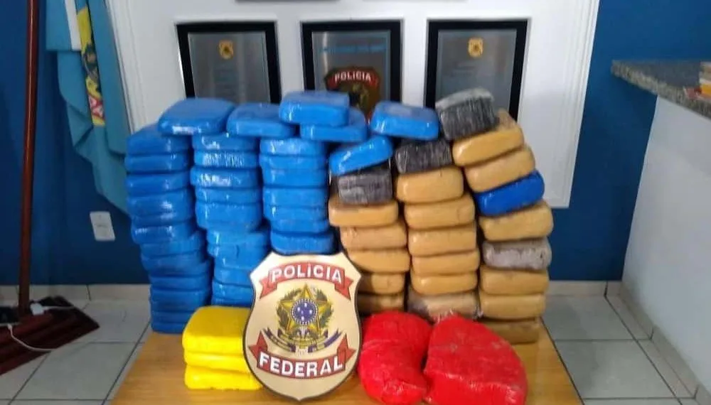 PF apreende mais de 80 quilos de droga em comunidade do interior