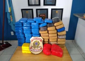 PF apreende mais de 80 quilos de droga em comunidade do interior