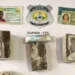 Enfermeira é flagrada tentando entrar com droga entre os seios em presídio