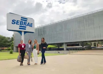 Estudo do Sebrae identifica os segmentos mais promissores para pequenos negócios em 2020