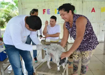 Prefeitura realiza vacinação antirrábica no Conjunto Esperança
