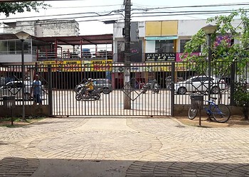 FOTO/ SAMIA ROBERTA REDE AMAZONICA