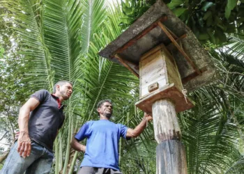 Acre tem a maior proporção de pessoas vivendo na zona rural da região Norte