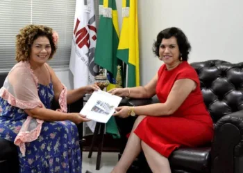 Perpétua Almeida vai ao MP/AC para barrar aumento na conta de luz no Acre