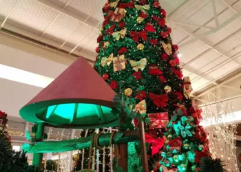 Último final de semana do ano tem entretenimento e cultura no Via Verde Shopping