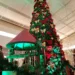 Último final de semana do ano tem entretenimento e cultura no Via Verde Shopping