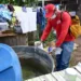 No Acre, 18 municípios estão em situação de alerta ou risco para dengue, zika e chikungunya