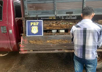 Homem é preso ao transportar mais de 20 quilos de cocaína em carroceria de caminhão  