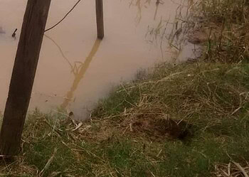 Corpos são encontrados no Rio Acre