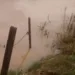 Corpos são encontrados no Rio Acre