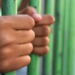 Quando o crime alimenta bocas famintas, mas as aprisionam em um cativeiro sem fim