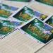 Caixa começa a receber apostas para a Mega da Virada