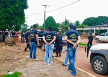 Polícia Civil deflagra operações e cumpre mais de 20 mandados, na Capital e no interior
