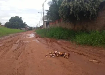 Homem é achado morto com mãos e pés amarrados