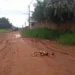 Homem é achado morto com mãos e pés amarrados