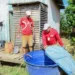 Prefeita Socorro Neri decreta situação de emergência por conta de epidemia de dengue