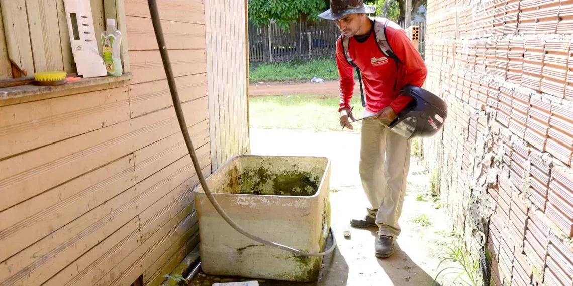 Ações da prefeitura reduzem casos de dengue em Rio Branco